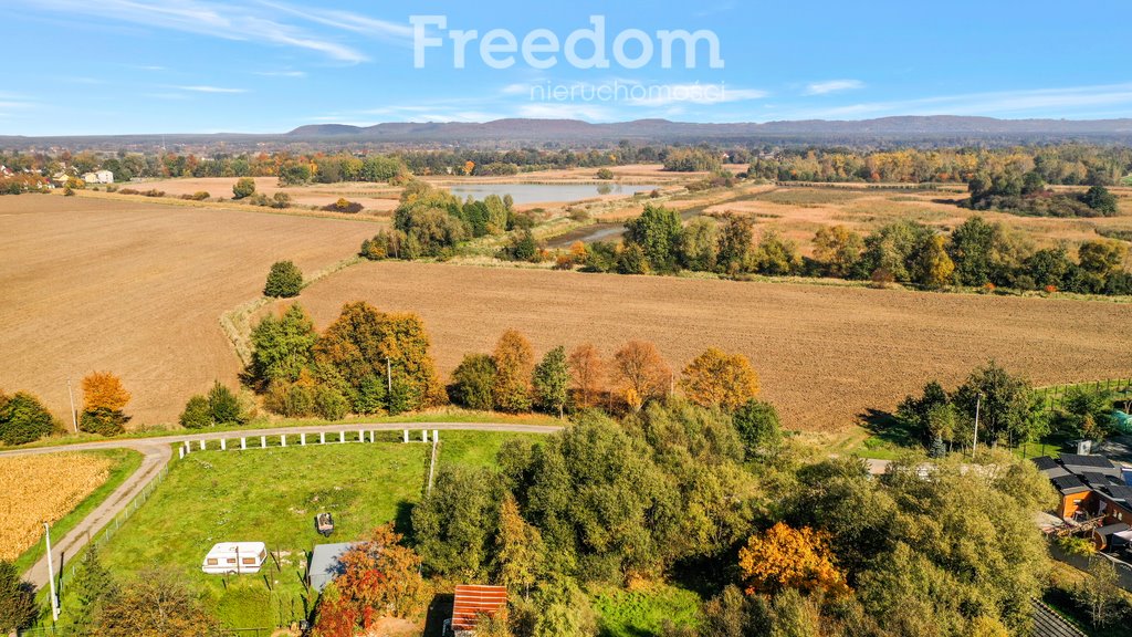 Działka budowlana na sprzedaż Las  1 355m2 Foto 15