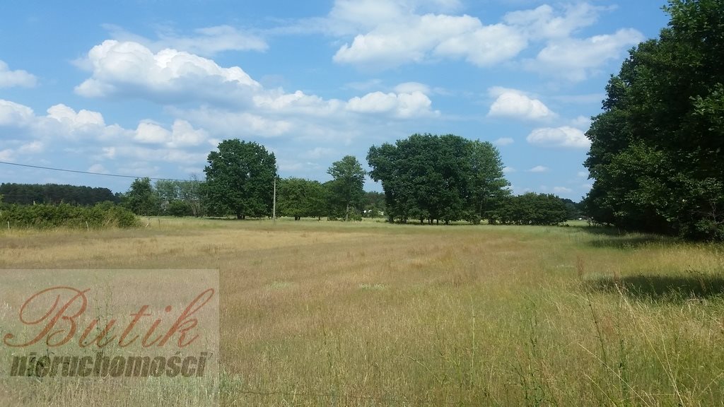 Malownicza działka 53 977 m² pod inwestycję w Trzcielu Trzciel  53 977m2 Foto 1