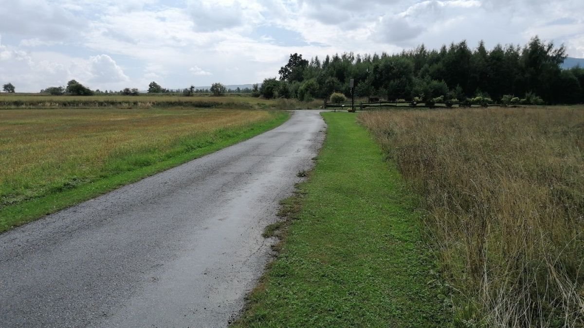 Działka budowlana na sprzedaż Polanica-Zdrój, Starków  6 400m2 Foto 2