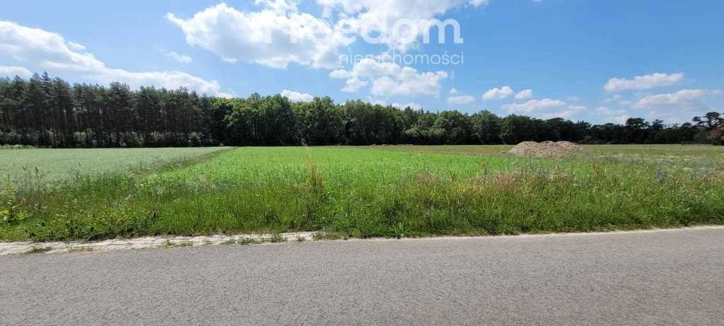 Działka budowlana na sprzedaż Masów  7 700m2 Foto 1