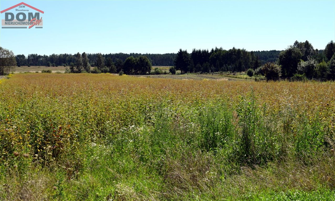 Działka inna na sprzedaż Wierzchowo, Długa  6 996m2 Foto 10