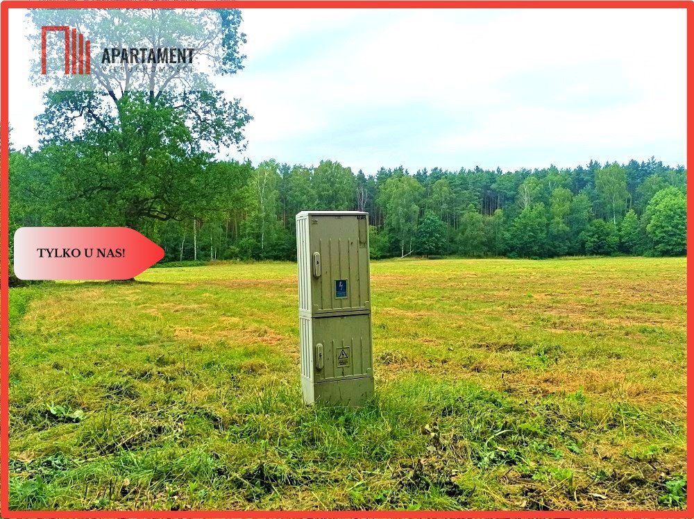 Działka 18 380 m² z MPZP, las, prąd, blisko Bydgoszczy - polecam! Pawłówek  18 380m2 Foto 1