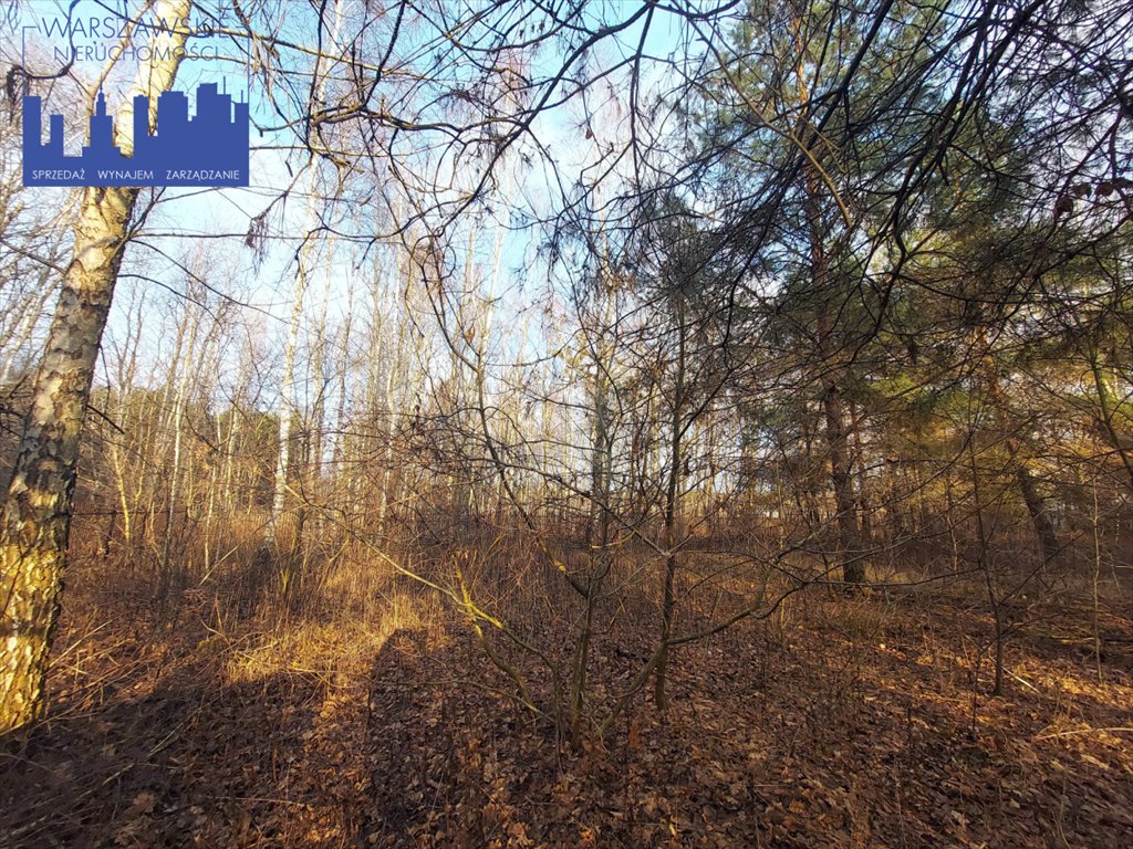 Działka budowlana na sprzedaż Borowina, Zaleśna  1 129m2 Foto 4