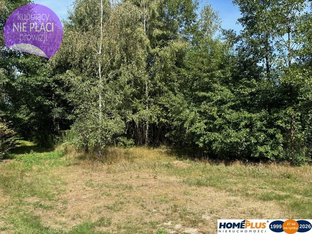 Działka 3566 m2 w Ludwinowie – spokojna okolica, media w drodze Ludwinów  3 566m2 Foto 1