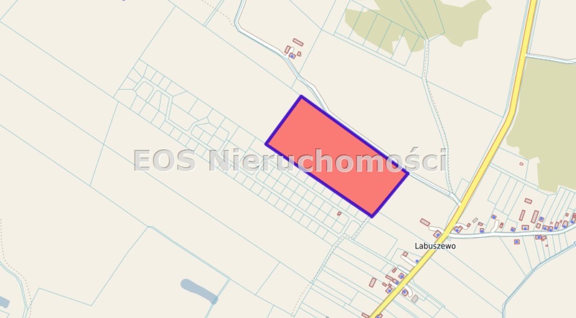 Na sprzedaż duża działka 45 200 m² z dostępem do drogi Labuszewo  45 200m2 Foto 1