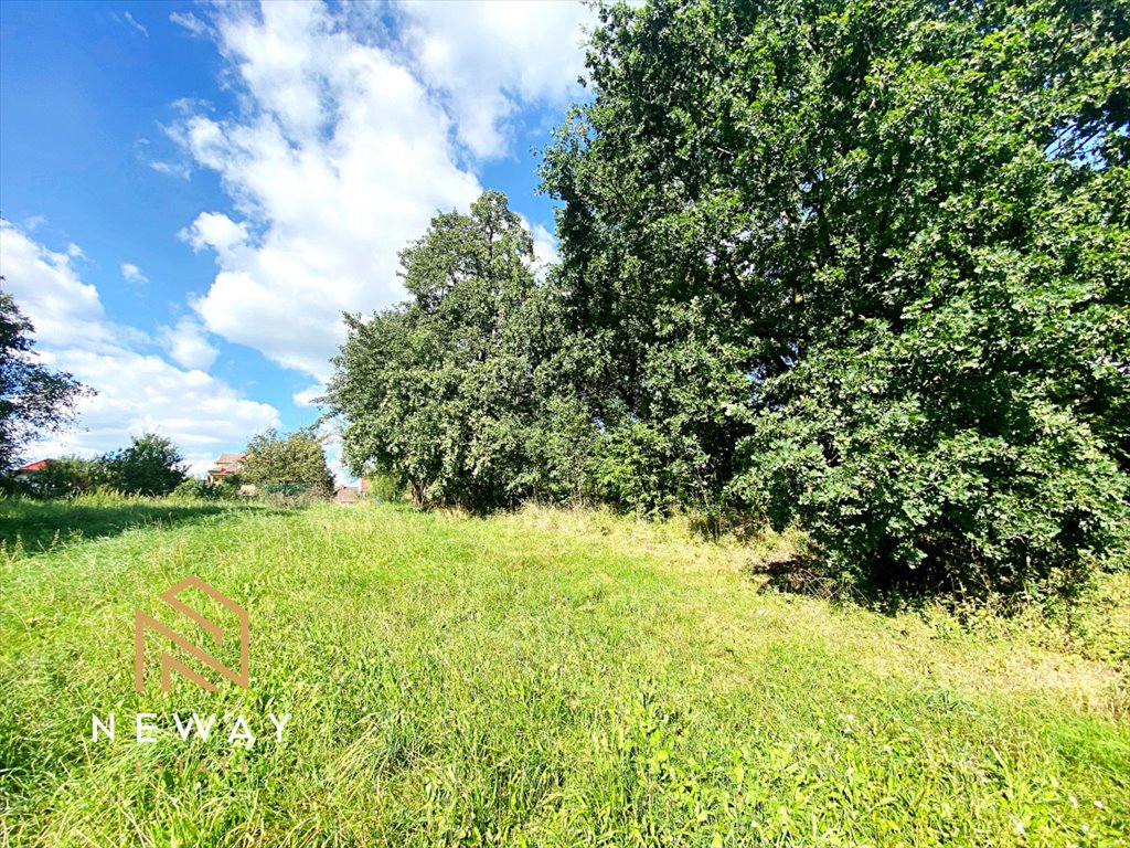 Działka rolna na sprzedaż Sieraków  8 040m2 Foto 5