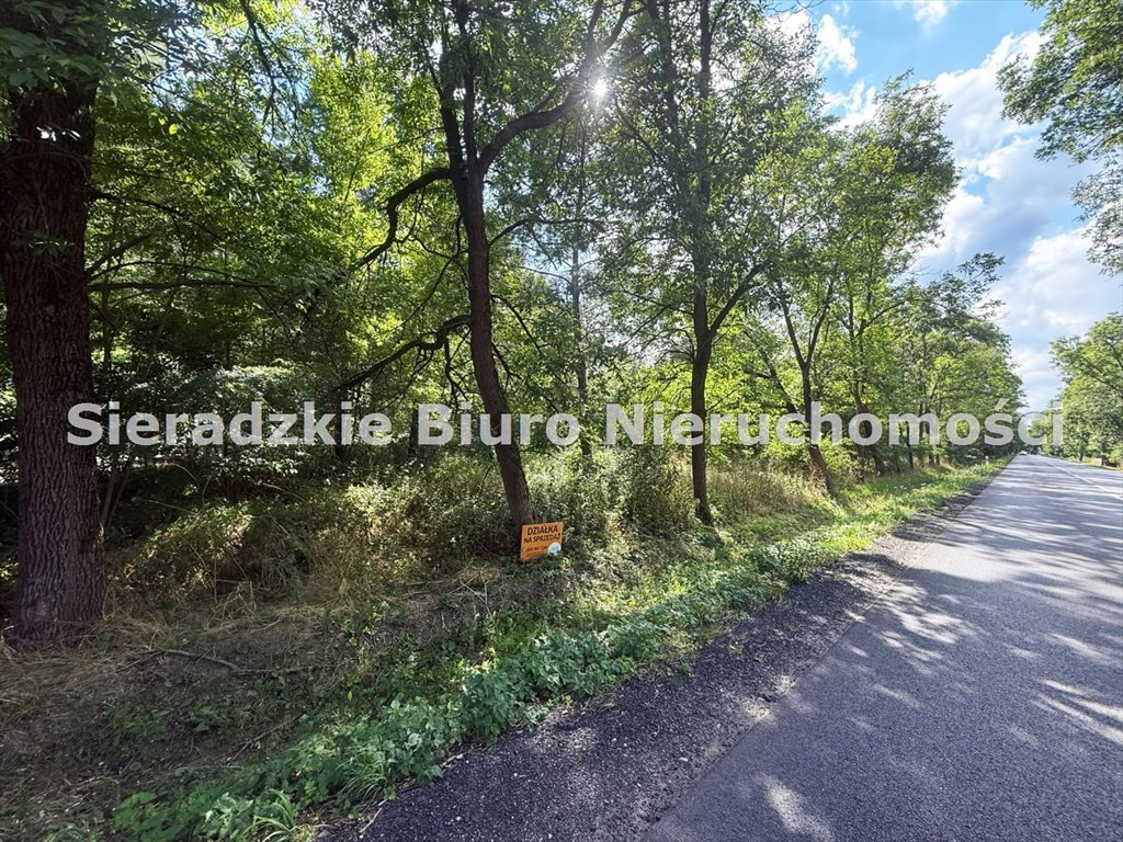 Zdjęcie 5