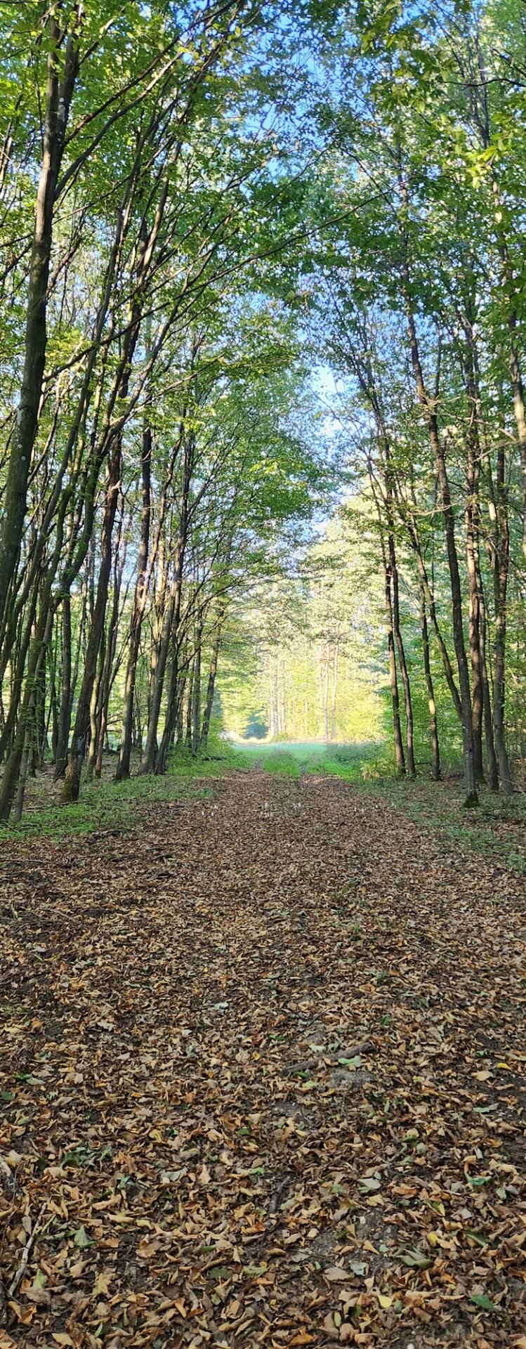 Dom na sprzedaż Rosanów  150m2 Foto 5