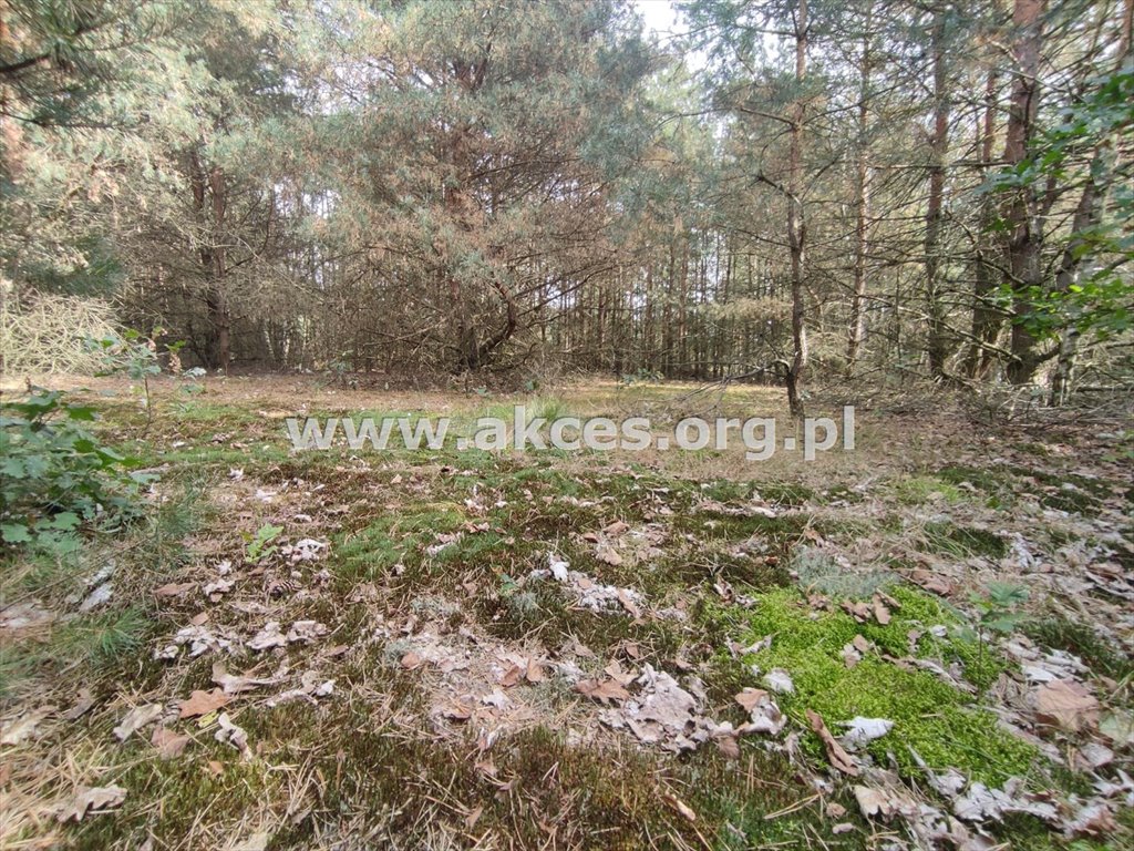 Działka inna na sprzedaż Stanisławów  2 544m2 Foto 3