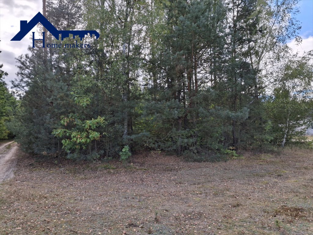 Działka leśna na sprzedaż Chudowola  1 000m2 Foto 4