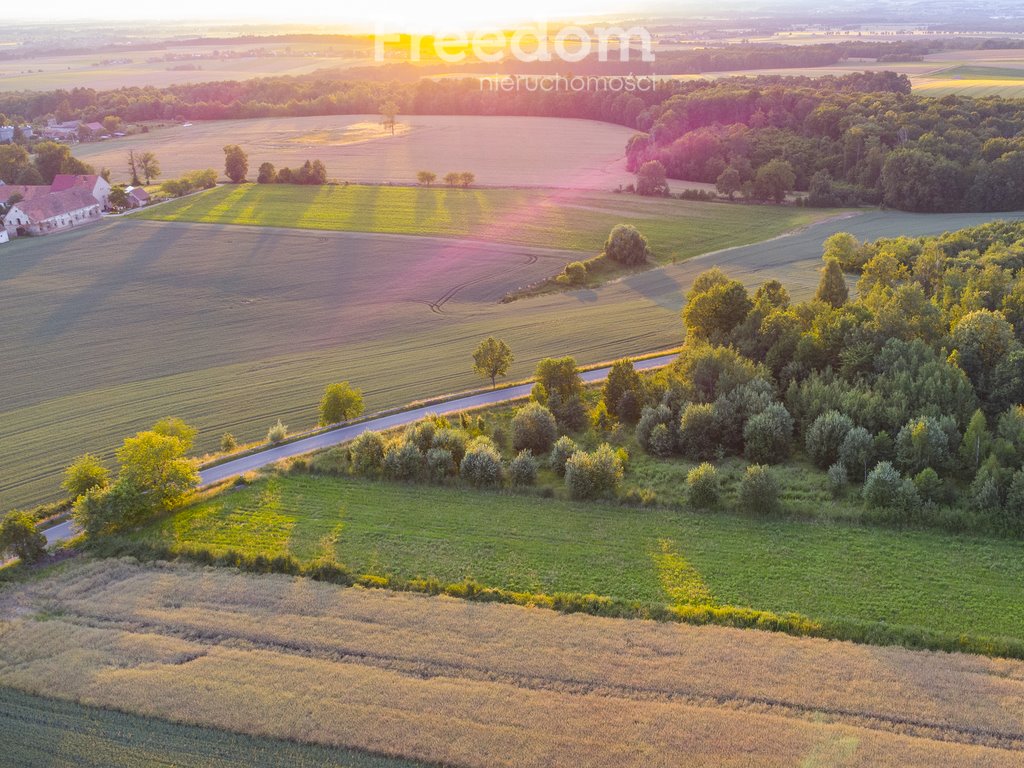 Działka budowlana na sprzedaż Nadziejów  5 130m2 Foto 9