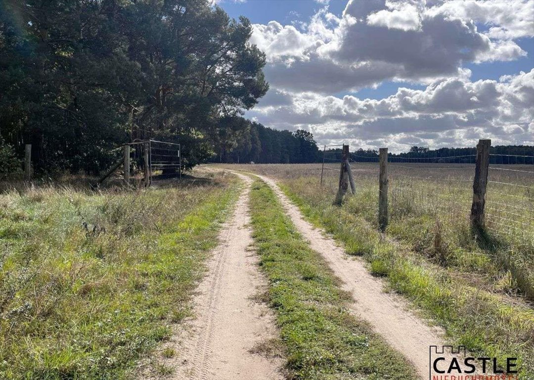 Działka budowlana na sprzedaż Trzciel  1 001m2 Foto 1