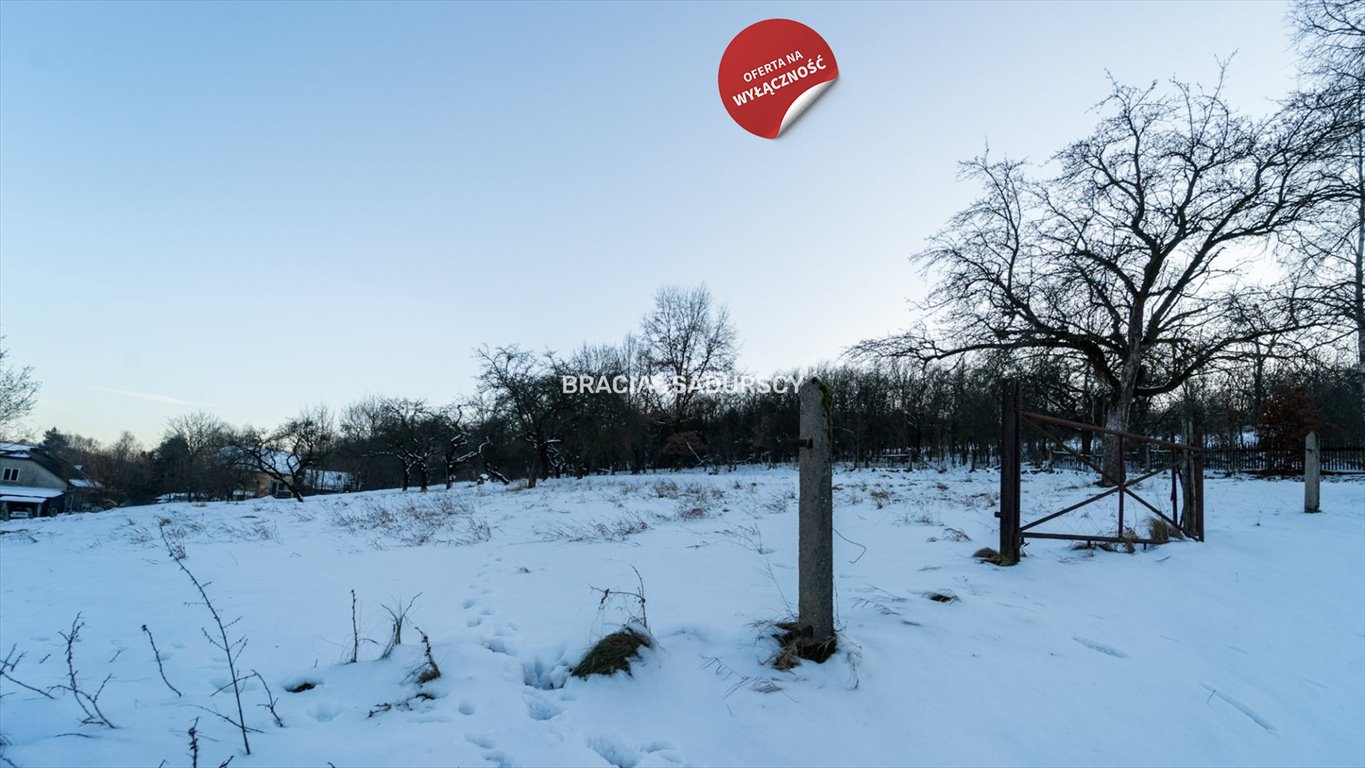 Działka budowlana na sprzedaż Czerna  3 600m2 Foto 19