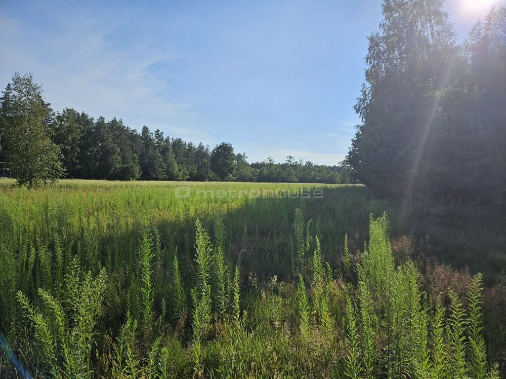 Działka inna na sprzedaż Młyniec  2 000m2 Foto 1