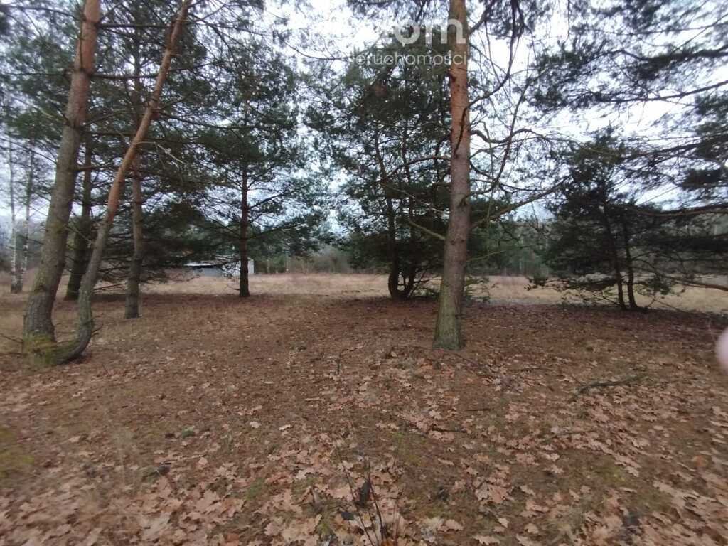 Działka budowlana na sprzedaż Sulejówek  10 203m2 Foto 1