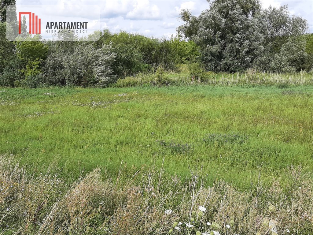 Działka gospodarstwo rolne na sprzedaż Żnin  1 700m2 Foto 5