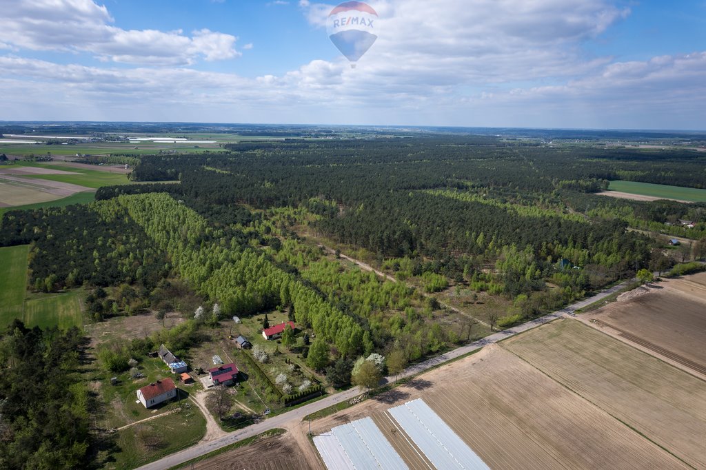 Działka budowlana na sprzedaż Ludwikowo  75 400m2 Foto 2