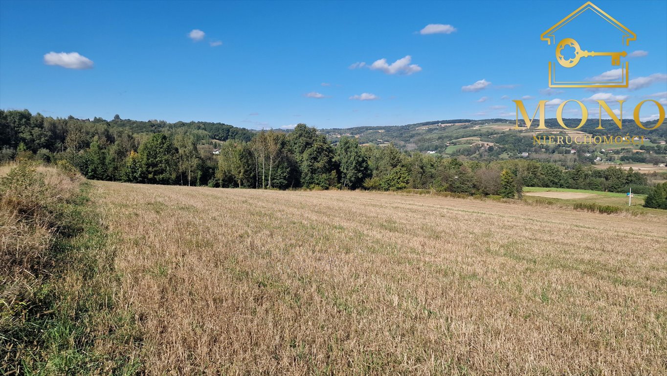 Działka budowlana na sprzedaż Buchcice  9 100m2 Foto 10