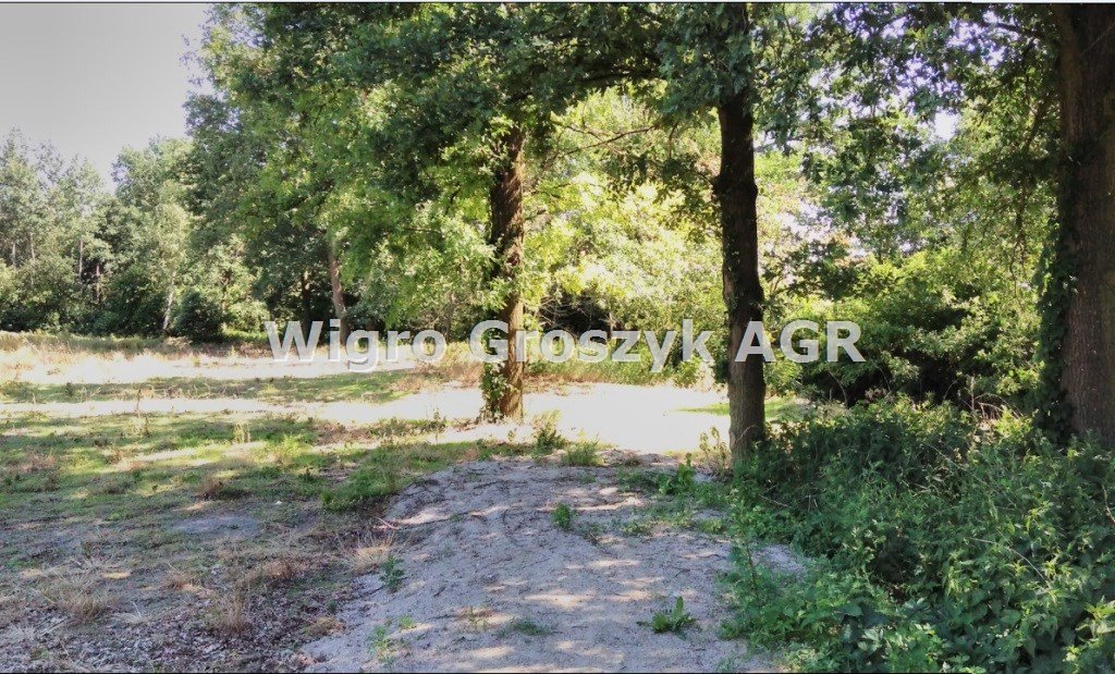 Działka 4300 m² z budynkiem i infrastrukturą w Miączynie Miączyn  4 300m2 Foto 1