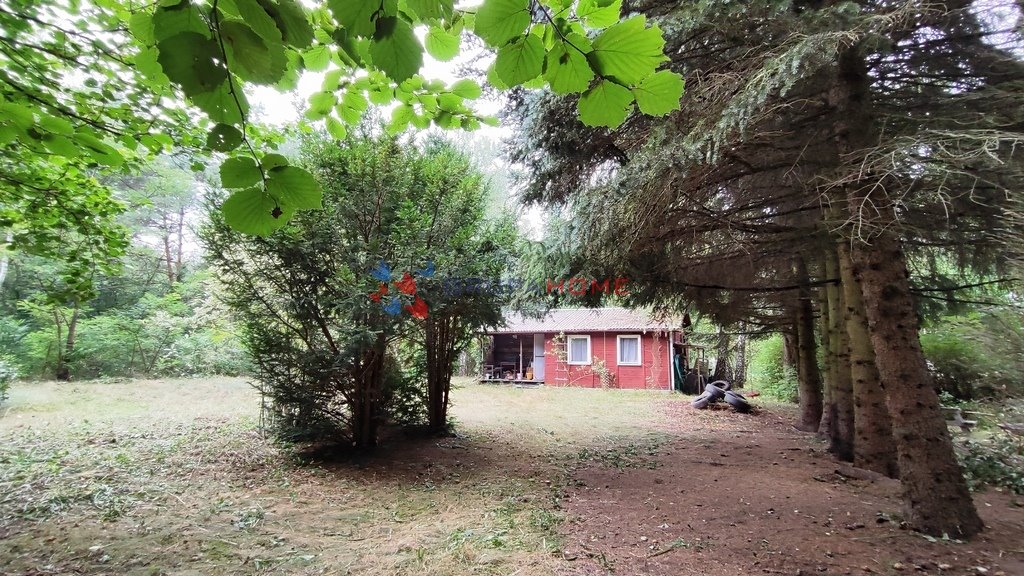 Działka 1744 m² z domem 50 m² (do remontu) w lesie Bronisławów  1 744m2 Foto 1