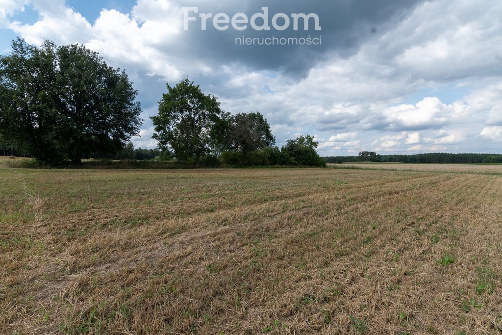 Działka budowlana na sprzedaż Brodna  2 119m2 Foto 1