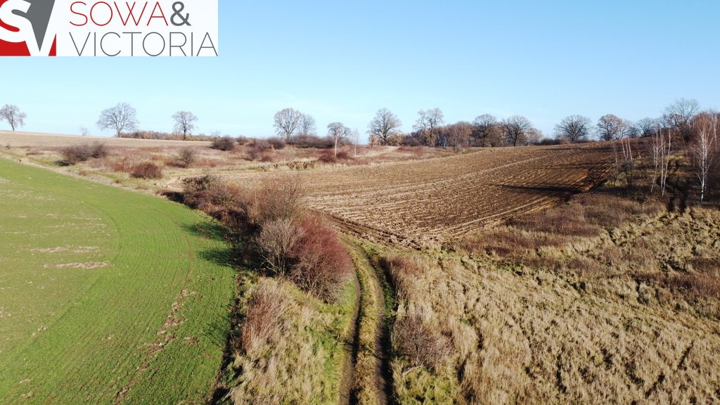 Działka inna na sprzedaż Wałbrzych, Lubiechów  3 069m2 Foto 2