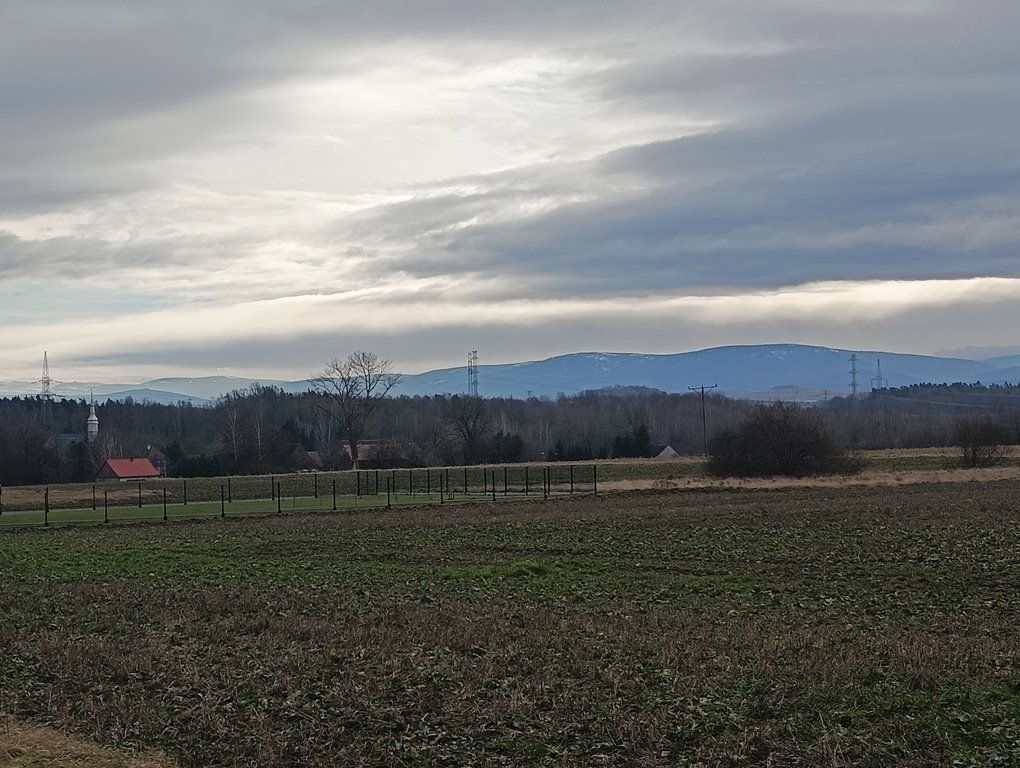 Działka budowlana na sprzedaż Rudzica  2 900m2 Foto 1