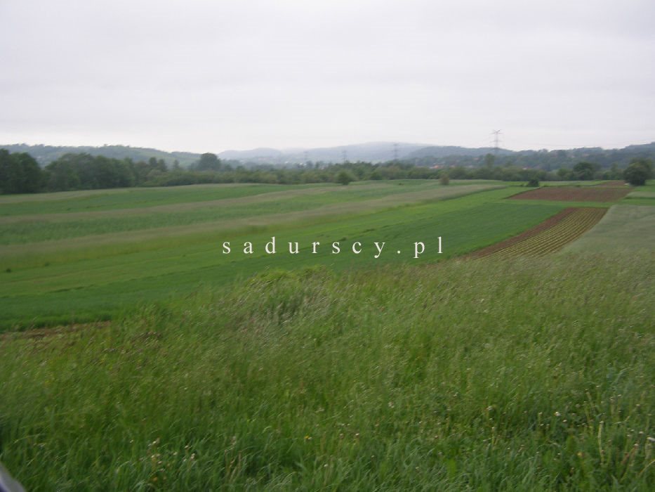 Działka inwestycyjna na sprzedaż Libertów 14 200m2 Foto 1 Działka inwestycyjna na sprzedaż Libertów 14 200m2 Foto 1
