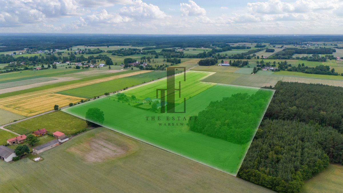 Działka siedliskowa na sprzedaż Czarnoty  130 000m2 Foto 3