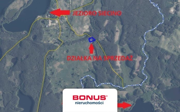 Działka 9100 m² nad jeziorami Krosino i Siecino Cieszyno  9 100m2 Foto 1