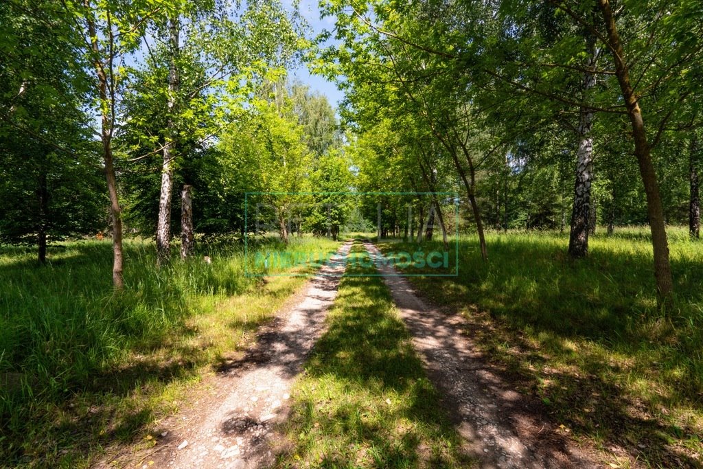 Działka siedliskowa na sprzedaż Pieńki Zarębskie  10 300m2 Foto 3