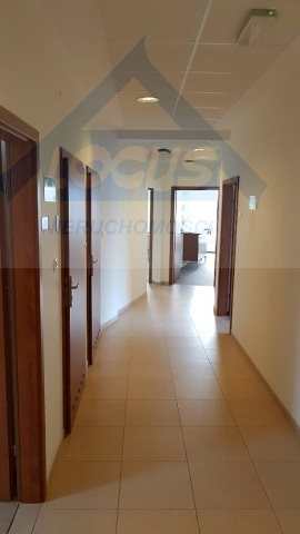 Lokal użytkowy na wynajem Warszawa, Wawer  876m2 Foto 6