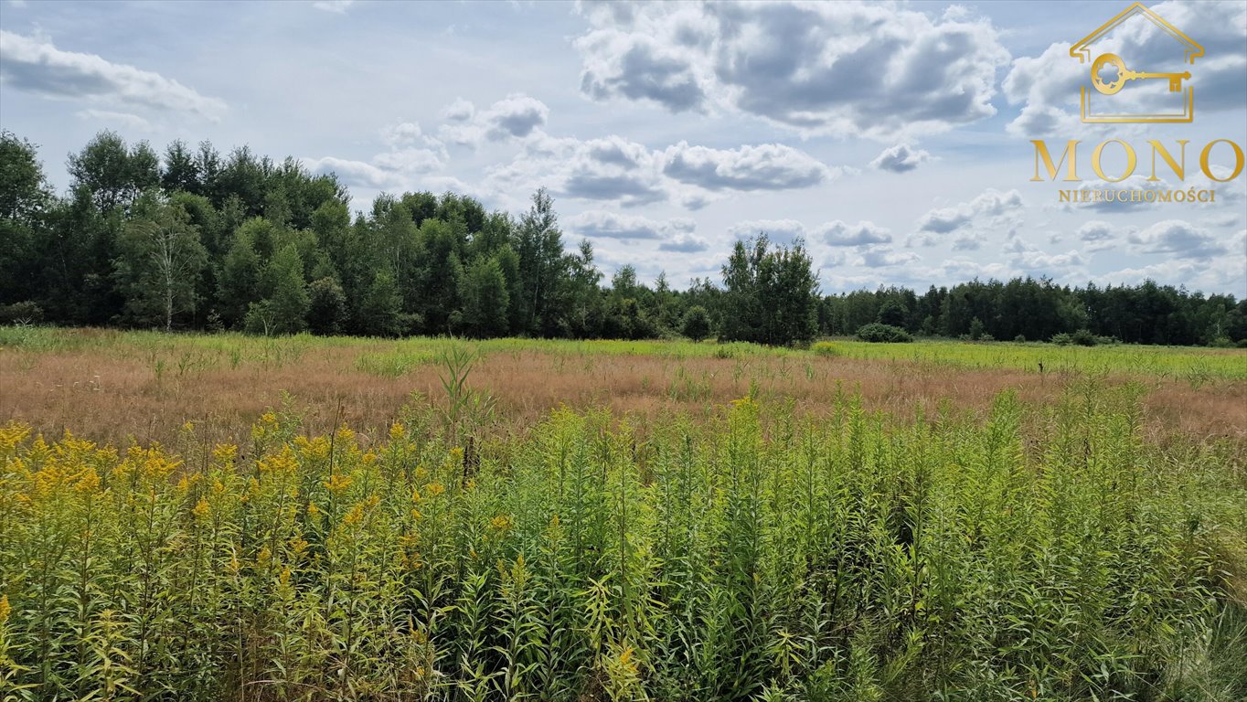 Działka rolna na sprzedaż Gadawa  13 350m2 Foto 2