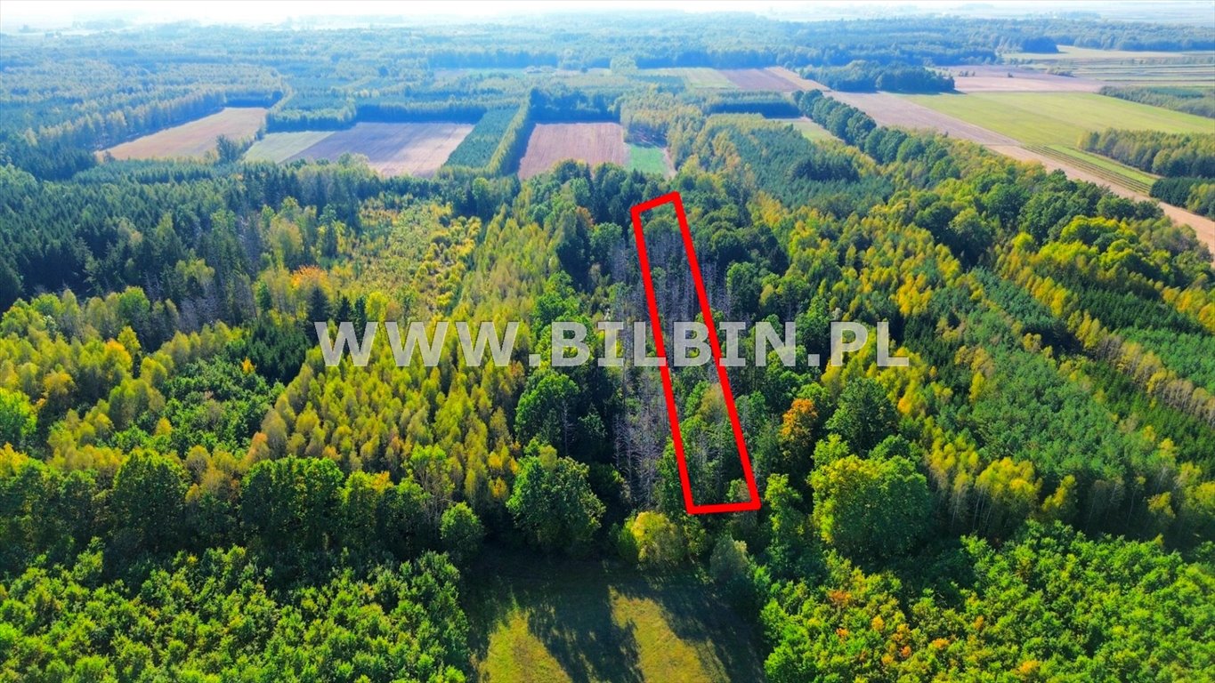 Działka leśna na sprzedaż Knorydy  10 100m2 Foto 2