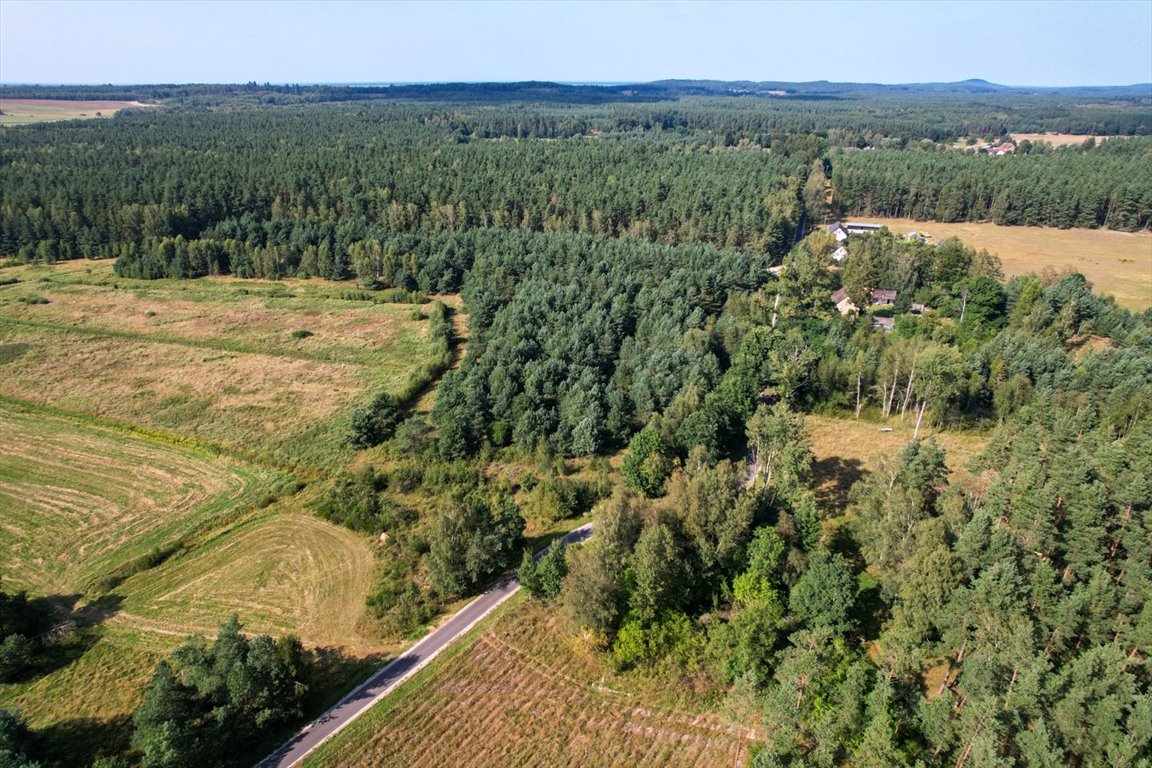 Działka budowlana na sprzedaż Lękwica  3 700m2 Foto 4