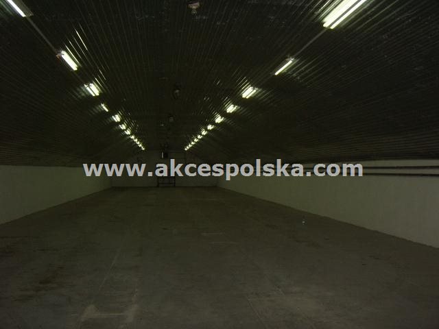 Lokal użytkowy na wynajem Łomianki, Łomianki Górne  500m2 Foto 3