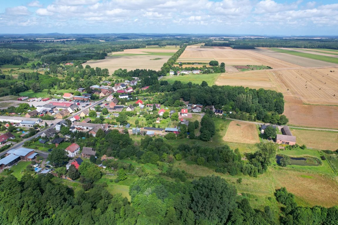 Działka inna na sprzedaż Wielka Wieś  4 000m2 Foto 7