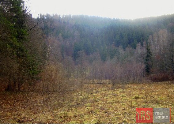 Działka budowlana na sprzedaż Jarkowice  15 000m2 Foto 1