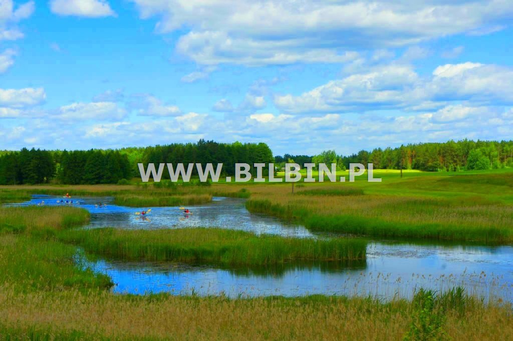 Działka rekreacyjna na sprzedaż Maćkowa Ruda  11 300m2 Foto 4