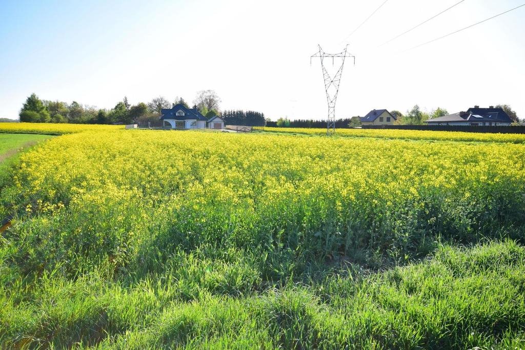 Działka budowlana w Radawcu Małym z WZ i mediami Radawiec Mały  1 146m2 Foto 1