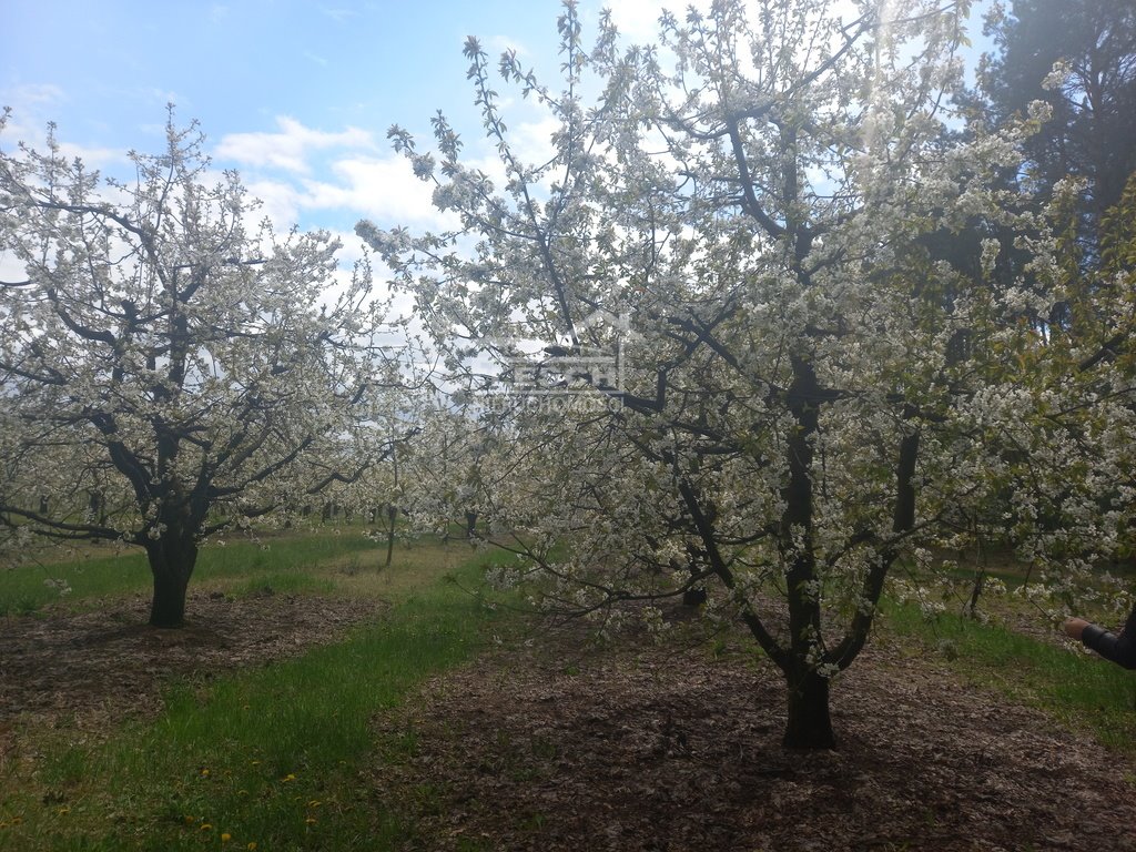 Działka rolna na sprzedaż Załęże Duże  7 300m2 Foto 11