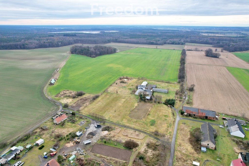 Dom na sprzedaż Lipowa, Polna  200m2 Foto 1
