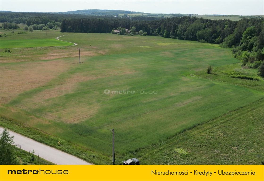 Działka inna na sprzedaż Ostrów  39 500m2 Foto 3