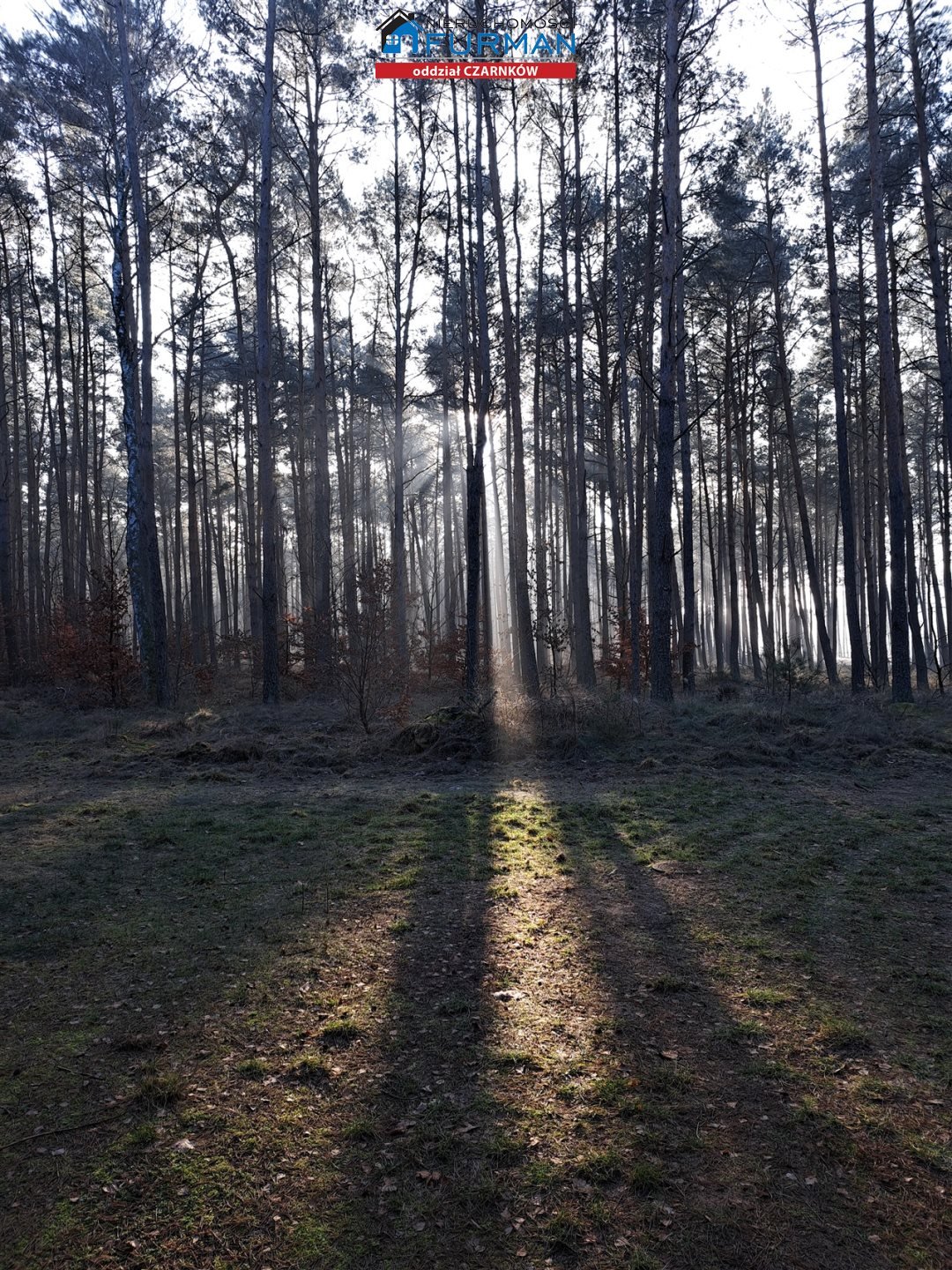 Działka inna na sprzedaż Biała  537m2 Foto 1