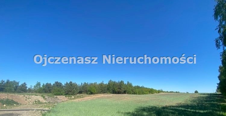 Działka inwestycyjna 9,6 ha z warunkami zabudowy i mediami Lisi Ogon  96 566m2 Foto 1