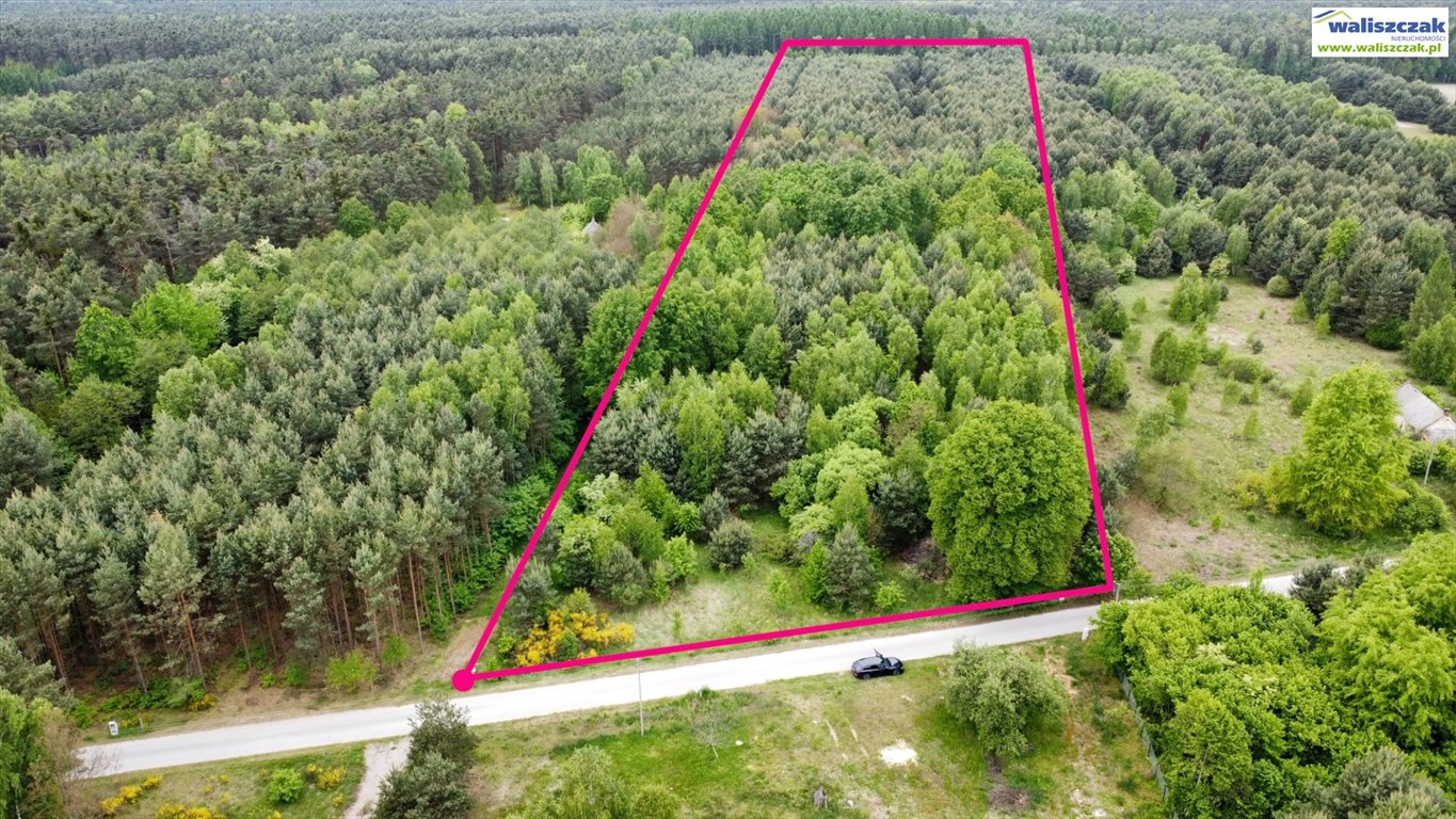 Działka leśna na sprzedaż Bilska Wola  29 630m2 Foto 1