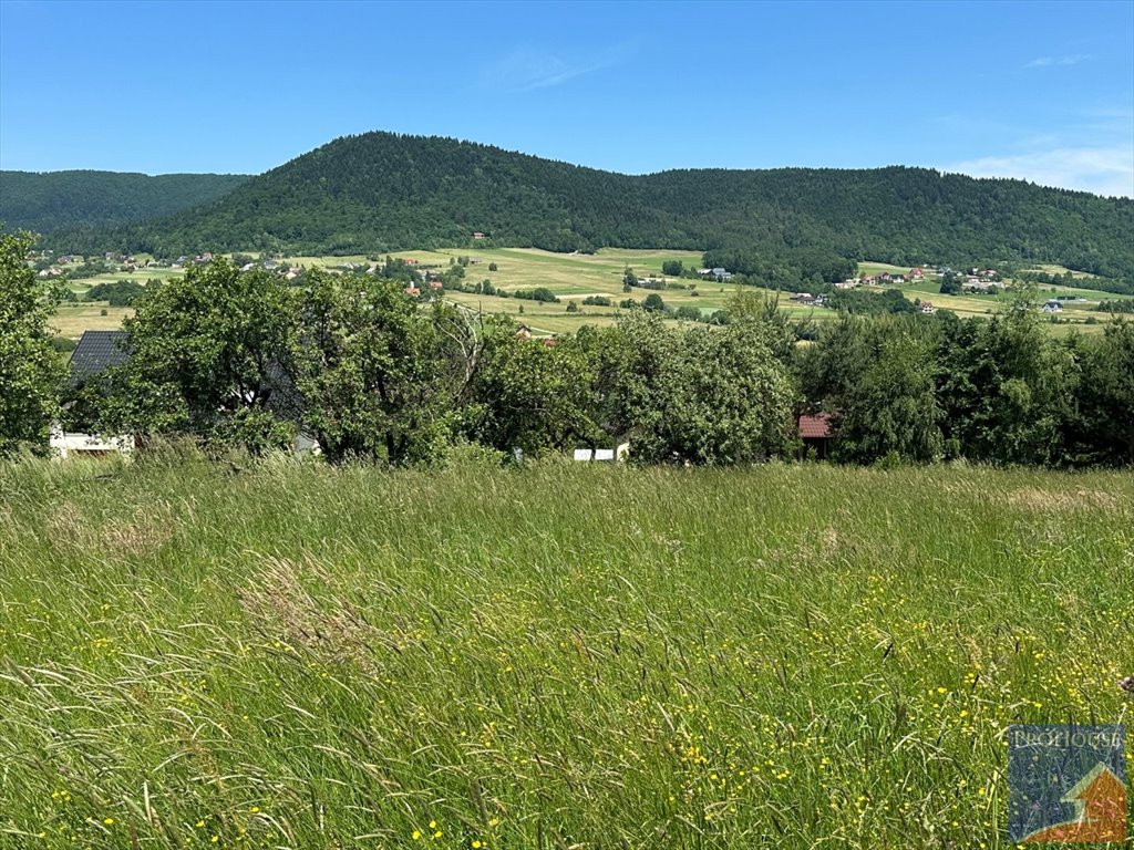 Działka budowlana na sprzedaż Pisarzowa  1 179m2 Foto 3