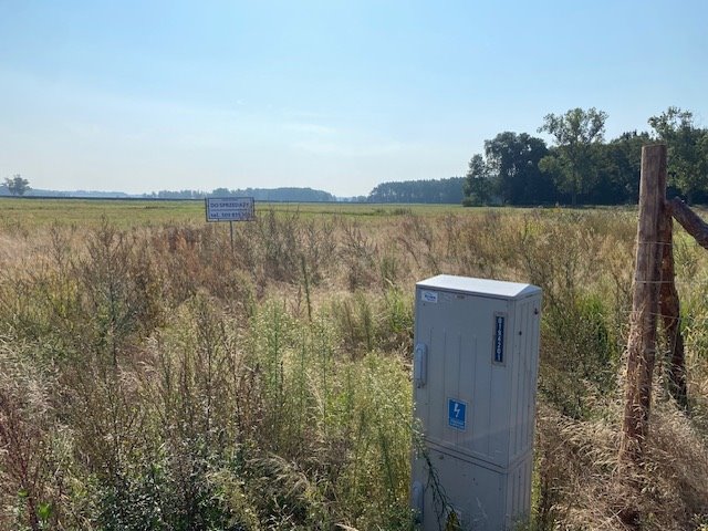 Działka budowlana na sprzedaż Chociule  1 353m2 Foto 1