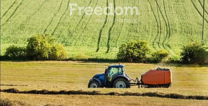 Działka rolna na sprzedaż Kleszczele  10 101m2 Foto 1