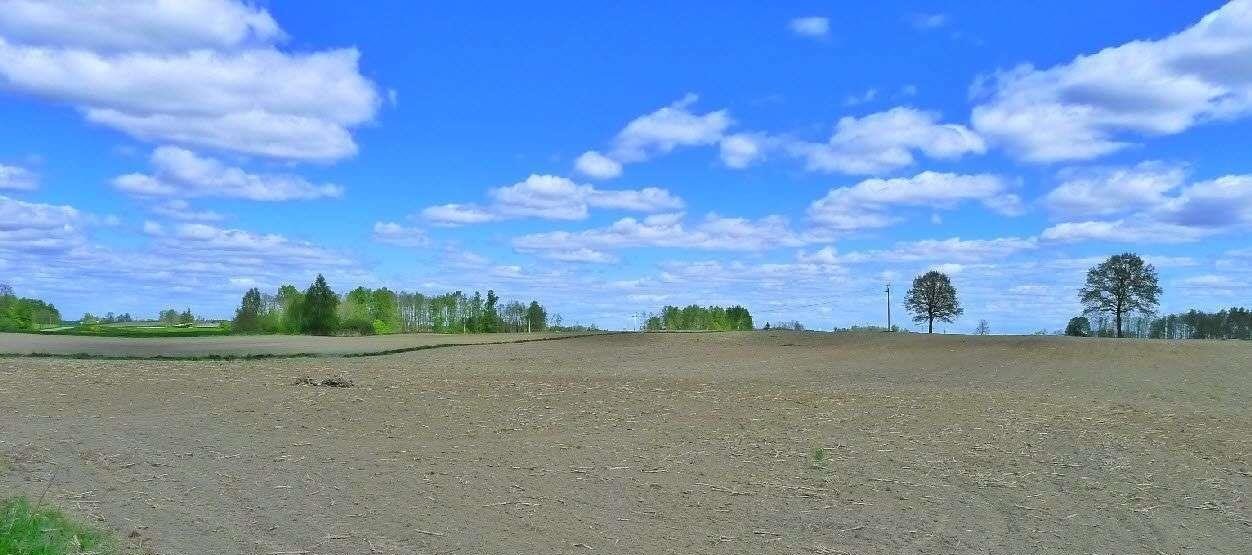 Działka rolna na sprzedaż Raczki  86 000m2 Foto 2